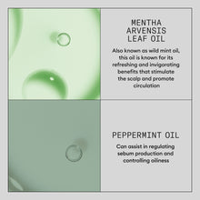 Load image into Gallery viewer, Nioxin Hair Booster Serum - Advanced Leave-In Hair Treatment 100ml