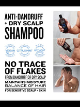Load image into Gallery viewer, American Crew Anti Dandruff + Dry Scalp Shampoo 250ml