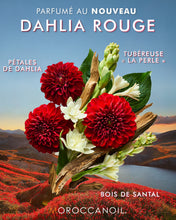 Load image into Gallery viewer, Moroccanoil Shower Gel Dahlia Rouge 250ml