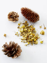 Load image into Gallery viewer, American Crew 3-in-1 Relaxing Chamomile + Pine 450ml