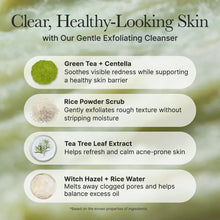 Load image into Gallery viewer, Arencia Fresh Green Rice Mochi Cleanser 120g