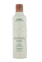 Load image into Gallery viewer, Aveda Rosemary Mint Purifying Shampoo and Weightless Conditioner 250ml Bundle