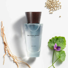 Load image into Gallery viewer, Burberry Touch EDP 100ML
