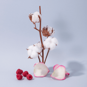 Compagnie de Provence Liquid Marseille Soap 495ml - Cotton Flower