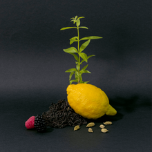 Load image into Gallery viewer, Compagnie de Provence Liquid Marseille Soap The Noir 495ml - Black Tea