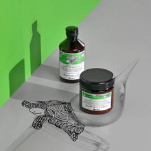 Load image into Gallery viewer, Davines Natural Tech Renewing Conditioning Treatment 250ml