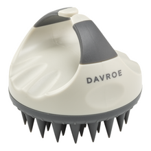 Load image into Gallery viewer, Davroe Scalp Remedy Brush