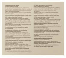 Load image into Gallery viewer, Davroe Scalp Remedy Brush