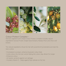 Load image into Gallery viewer, Davroe Scalp Remedy Spa Pack