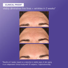 Load image into Gallery viewer, Dermalogica Phyto Nature e2 Treatment 100ml