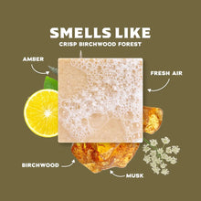 Load image into Gallery viewer, Dr Squatch Birchwood Breeze Natural Bar Soap for Men 141g