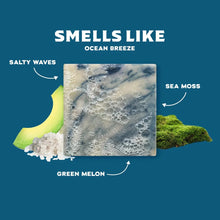 Load image into Gallery viewer, Dr Squatch Coastal Mist Natural Bar Soap 141g
