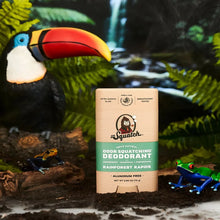 Load image into Gallery viewer, Dr Squatch Rainforest Rapids Natural Deodorant for Men 75g