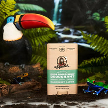 Load image into Gallery viewer, Dr Squatch Rainforest Rapids Natural Deodorant for Men 75g 5 Pack