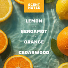 Load image into Gallery viewer, Dr Squatch Summer Citrus Natural Bar Soap 141g