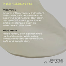Load image into Gallery viewer, Skinstitut Gentle Cleanser 200ml