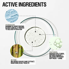 Load image into Gallery viewer, Grown Alchemist Hydra-Restore Shampoo 300ml