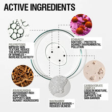 Load image into Gallery viewer, Grown Alchemist Skin Renewal Serum 25ml