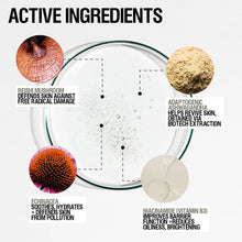 Load image into Gallery viewer, Grown Alchemist Skin Renewal Toner 100ml