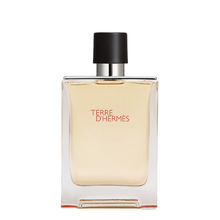 Load image into Gallery viewer, Hermes Terre D'Hermes Eau De Toilette 100ml