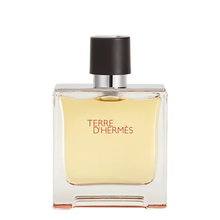 Load image into Gallery viewer, Hermes Terre D'Hermes Parfum 75ml