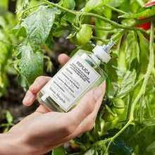 Load image into Gallery viewer, Maison Margiela Replica From the Garden EDT 100ml