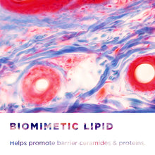 Load image into Gallery viewer, Bioderma Sensibio AR Anti-redness Cream For Sensitive Skin 40ml