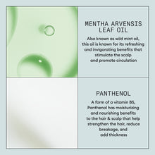 Load image into Gallery viewer, Nioxin Density Defend Styling Volumizing + Thickening Mousse 200ml