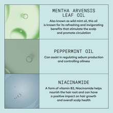 Load image into Gallery viewer, Nioxin Scalp Recovery System Kit