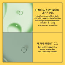 Load image into Gallery viewer, Nioxin System 1 Scalp + Hair Thickening Conditioner 300ml