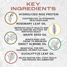 Load image into Gallery viewer, Reuzel Hydrating Styling Cream Rosemary Mint 100ml