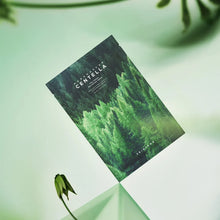 Load image into Gallery viewer, SKIN1004 Madagascar Centella Tea-Trica Relaxing Mask - 1 Piece