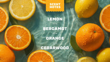 Load image into Gallery viewer, Dr Squatch Summer Citrus Natural Bar Soap 141g