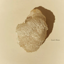 Load image into Gallery viewer, Superfeast Lion's Mane 100g