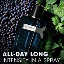 Load image into Gallery viewer, Yves Saint Laurent Y EDP Intense 100ML