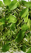 Load image into Gallery viewer, Aveda Rosemary Mint Purifying Shampoo 1000ml