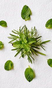 Aveda Rosemary Mint Weightless Conditioner 250ml