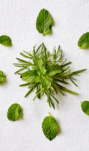 Load image into Gallery viewer, Aveda Rosemary Mint Purifying Shampoo 1000ml