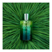 Load image into Gallery viewer, Juliette Has a Gun Ex Vetiver Eau De Parfum 100ml