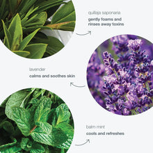 Load image into Gallery viewer, Dermalogica Special Cleansing Gel 500ml