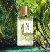 Load image into Gallery viewer, Seasonal Fragrance Sample Pack