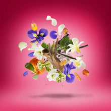 Load image into Gallery viewer, Xerjoff Coro Eau De Parfum Sample