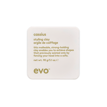 Load image into Gallery viewer, Evo Cassius Styling Clay 90g