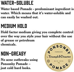 Triumph & Disaster Ponsonby Pomade 95g