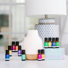 Load image into Gallery viewer, ECO. Modern Essentials Aroma Essential Oil Ultimate Wellbeing Bundle 10ml x 12