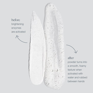 Dermalogica Daily Microfoliant and Active Moist Bundle